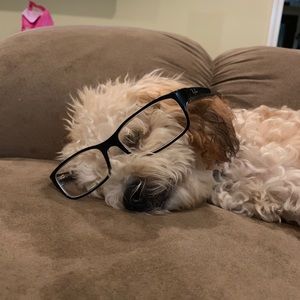 Meet your Posher, Janice